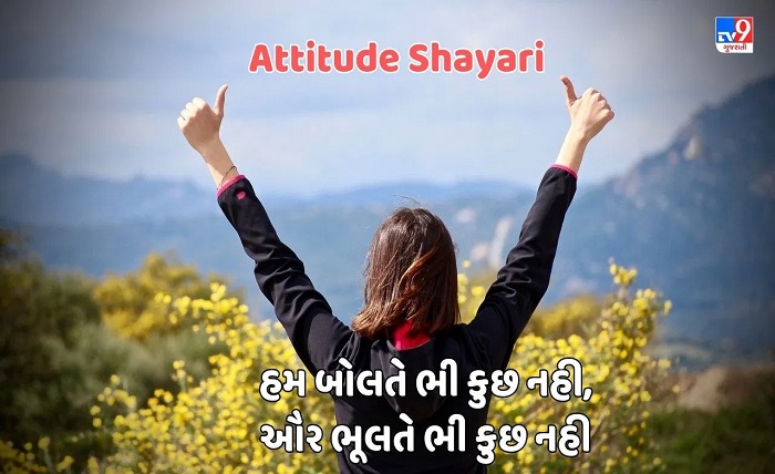 gujarati attitude shayari